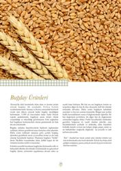 Buğday Ürünleri II.jpg